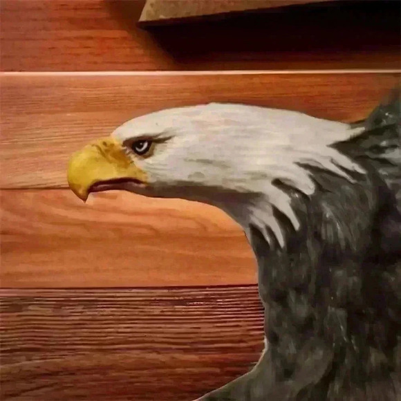 1st Issue Sacred Spirits Limited Edition Collection Eagle Home Decor#A0759 - Picture 11 of 16